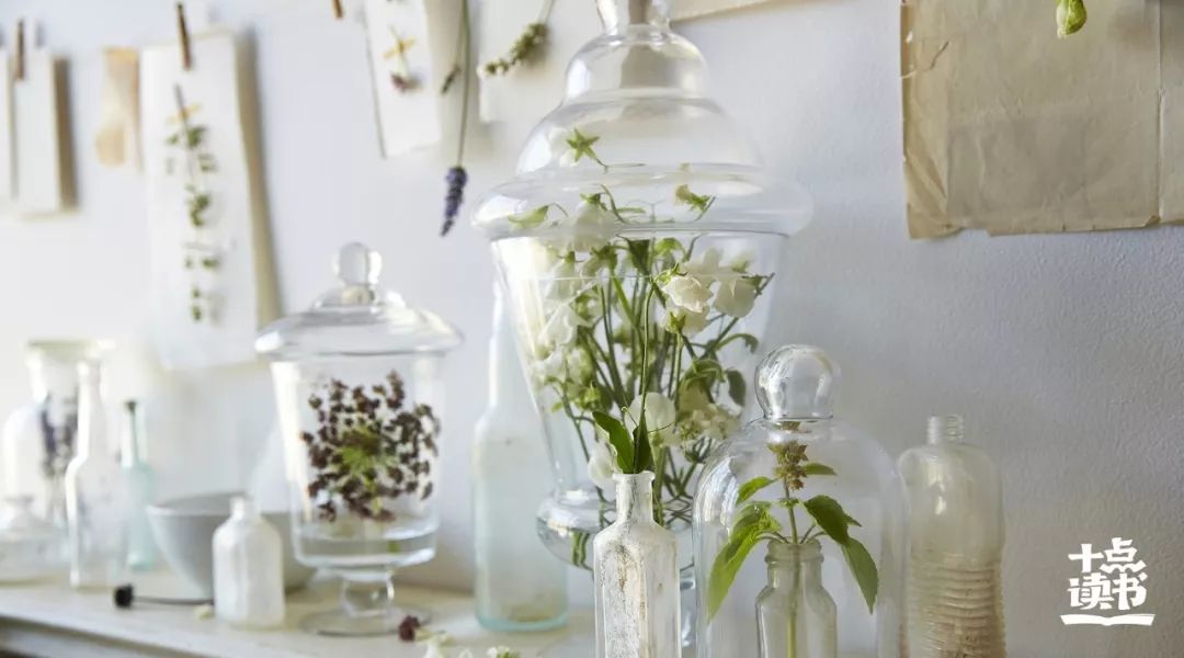 家静人安福气自来,家净心净人净福报自来