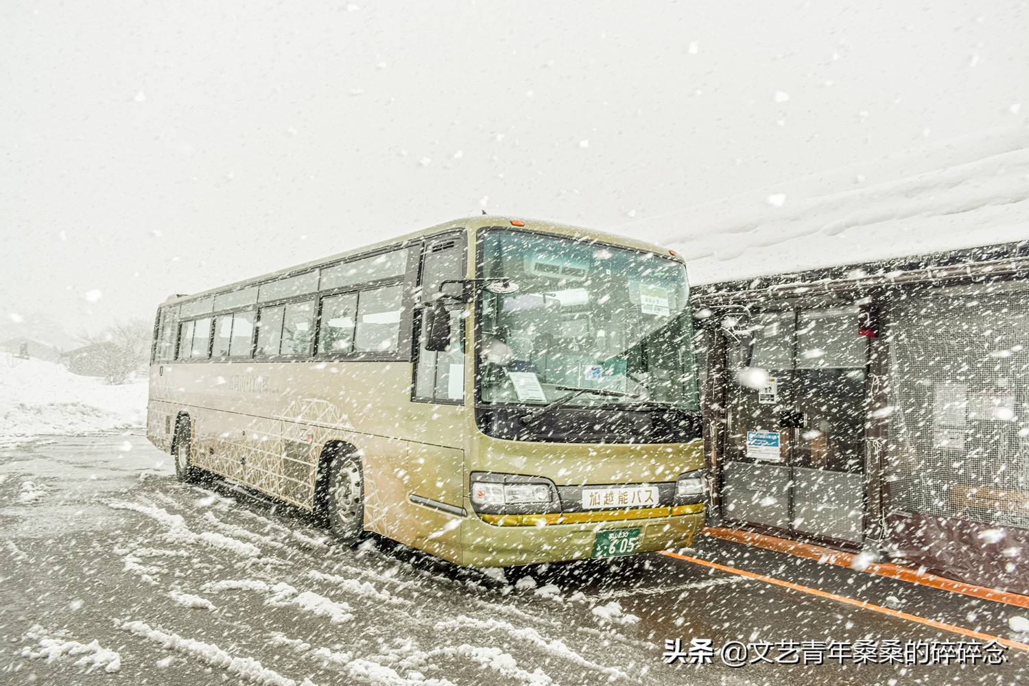 冬季日本的自驾游攻略,冬日游日本名古屋攻略