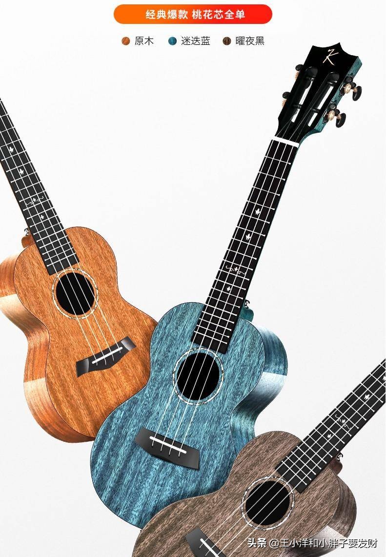 怎样选一把好的尤克里里,十大入门级尤克里里推荐
