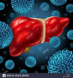 打乙肝疫苗不产生抗体怎么办,打乙肝疫苗也没有抗体怎么办