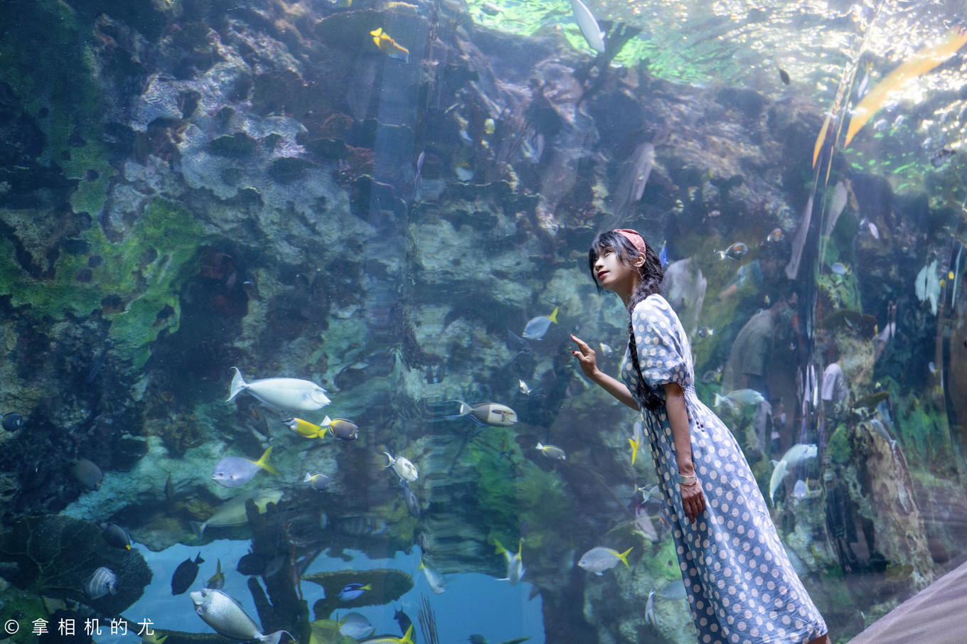 珠海横琴长隆海洋王国游玩全攻略,珠海长隆海洋王国跟香港海洋公园