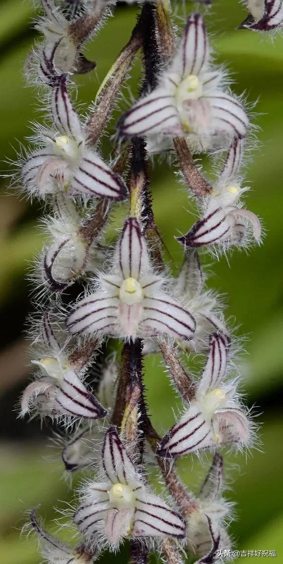 送给群友的美图,最新群相册大全