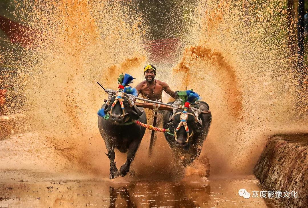 第四届国际风光摄影大赛,第四届国际摄影巡回赛