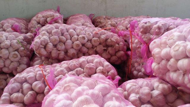 今天大蒜价格多少钱一斤?2019年5月全国大蒜最新价格行情分析