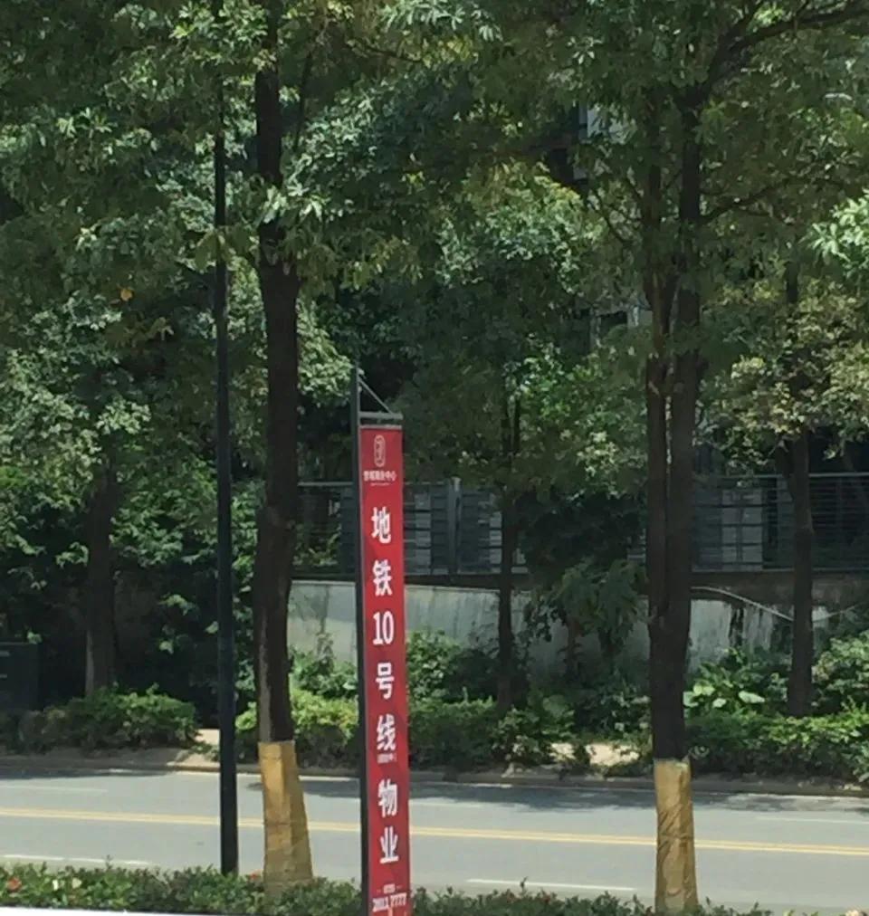 全程暴走!实探疯传的扩容临深区域凤岗+塘厦,到底值不值得买?