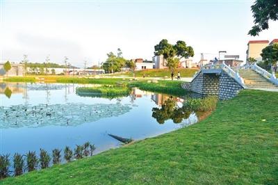 献礼百年华诞|水台镇：昔日“山区镇”今日“湾区镇”