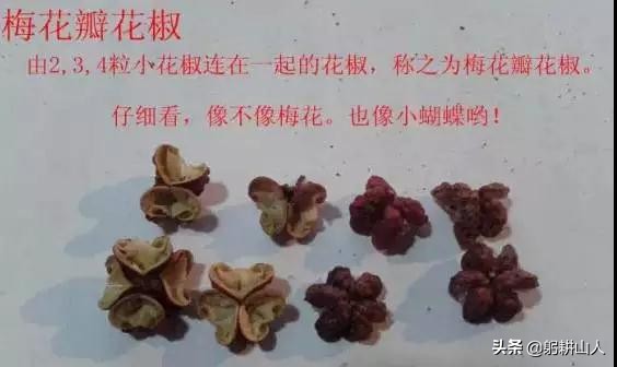 花椒要讲究品质不要只说价格 (为什么最近的花椒价格这么高)