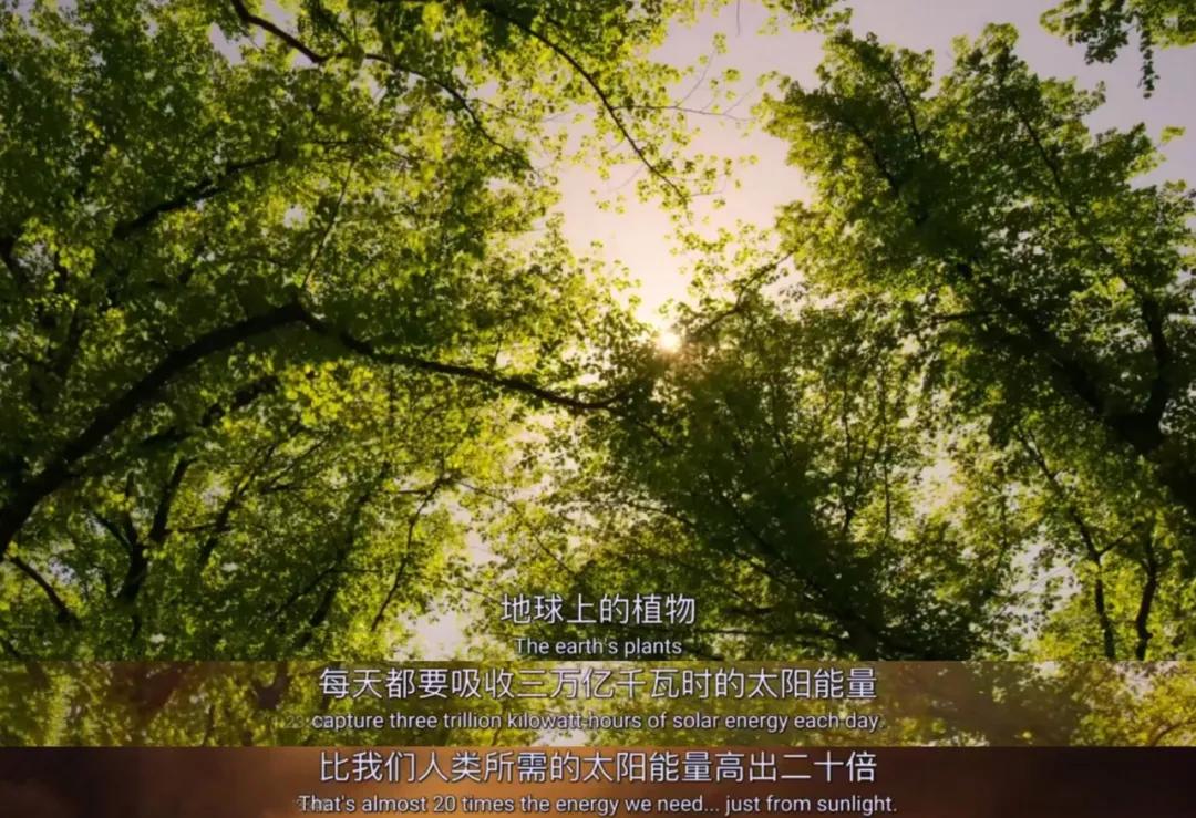 豆瓣2.5分神作,豆瓣9.5分的神作不该如此小众