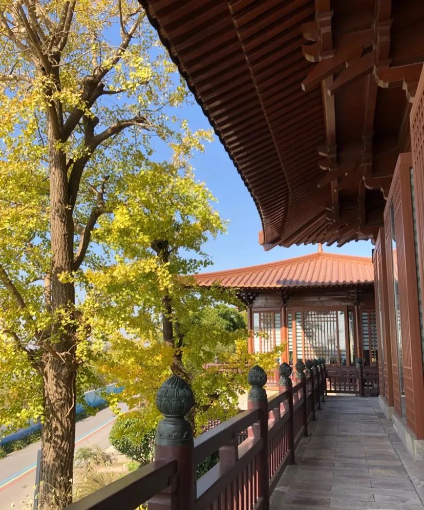 松江佘山辰山植物园一日游攻略,松江方塔园哪好玩