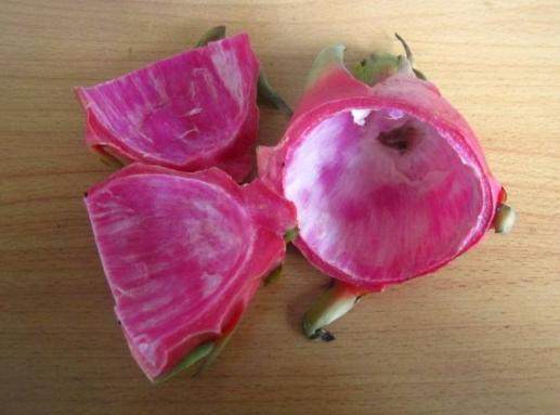 火龙果可以降血脂胆固醇吗,火龙果女性要少吃