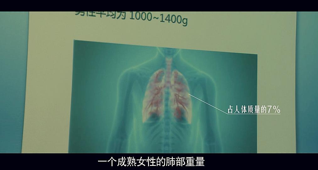 新版法医秦明最新案件,法医秦明2全能