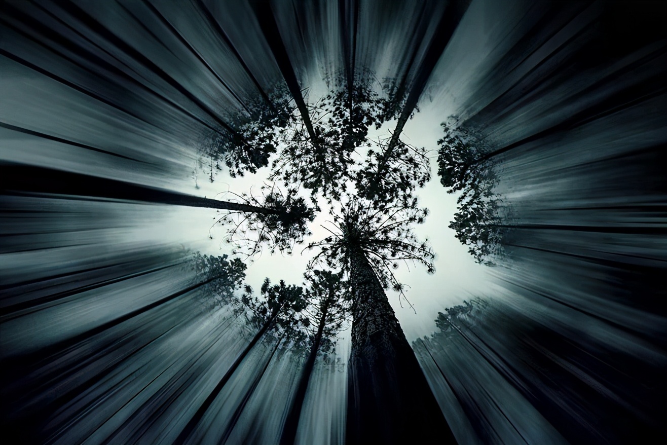 大专论文查重吗,学信网论文查重