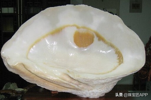 贝壳手工珠宝首饰,贝壳类珠宝首饰