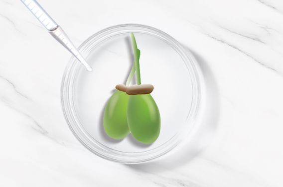 花西子推出奶油唇膏,花西子新产品研发