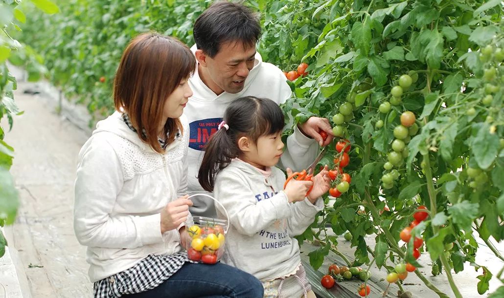 日本生态农业庄园,日本田园农场排行榜