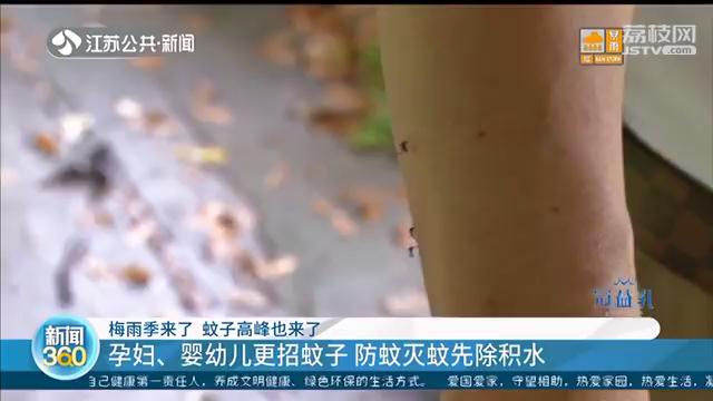 家里有宝宝夏天卧室有蚊子怎么办,这个季节蚊子多孕妇怎么办