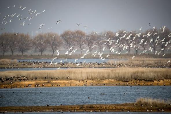 鏃╁畨婀栧寳姝︽眽,姝︽眽鏃╁畨姝︽眽