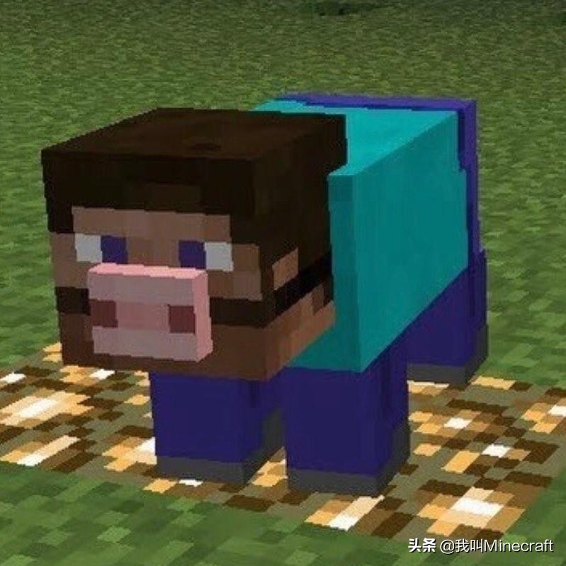 我的世界mc网图揭秘,我的世界mc网图大揭秘