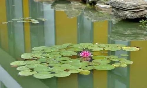 苏州新区实验中学高中有几个校区,苏州新区实验初级中学锦峰路校区