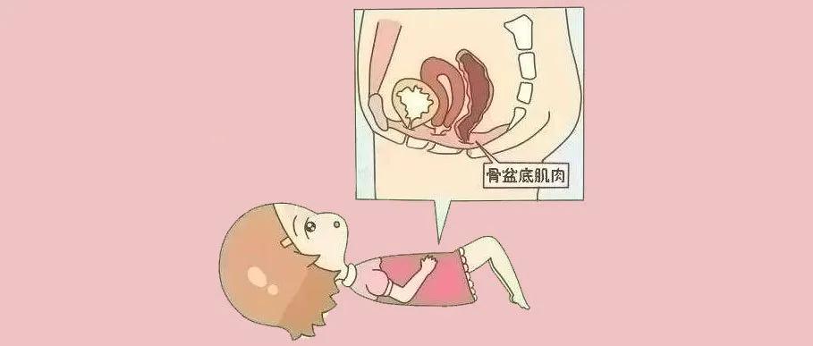 剖腹产盆底会松弛吗,剖腹产盆底肌会不会松