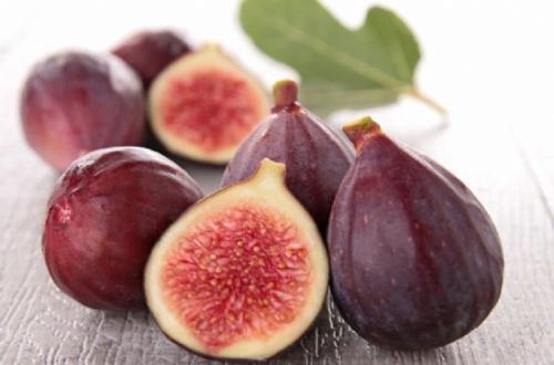 种无花果树怎么种植成活率高,无花果树怎么养才能结果子