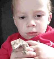 offwhitexnikedunk真假辨别,offwhitexnikedunk意义