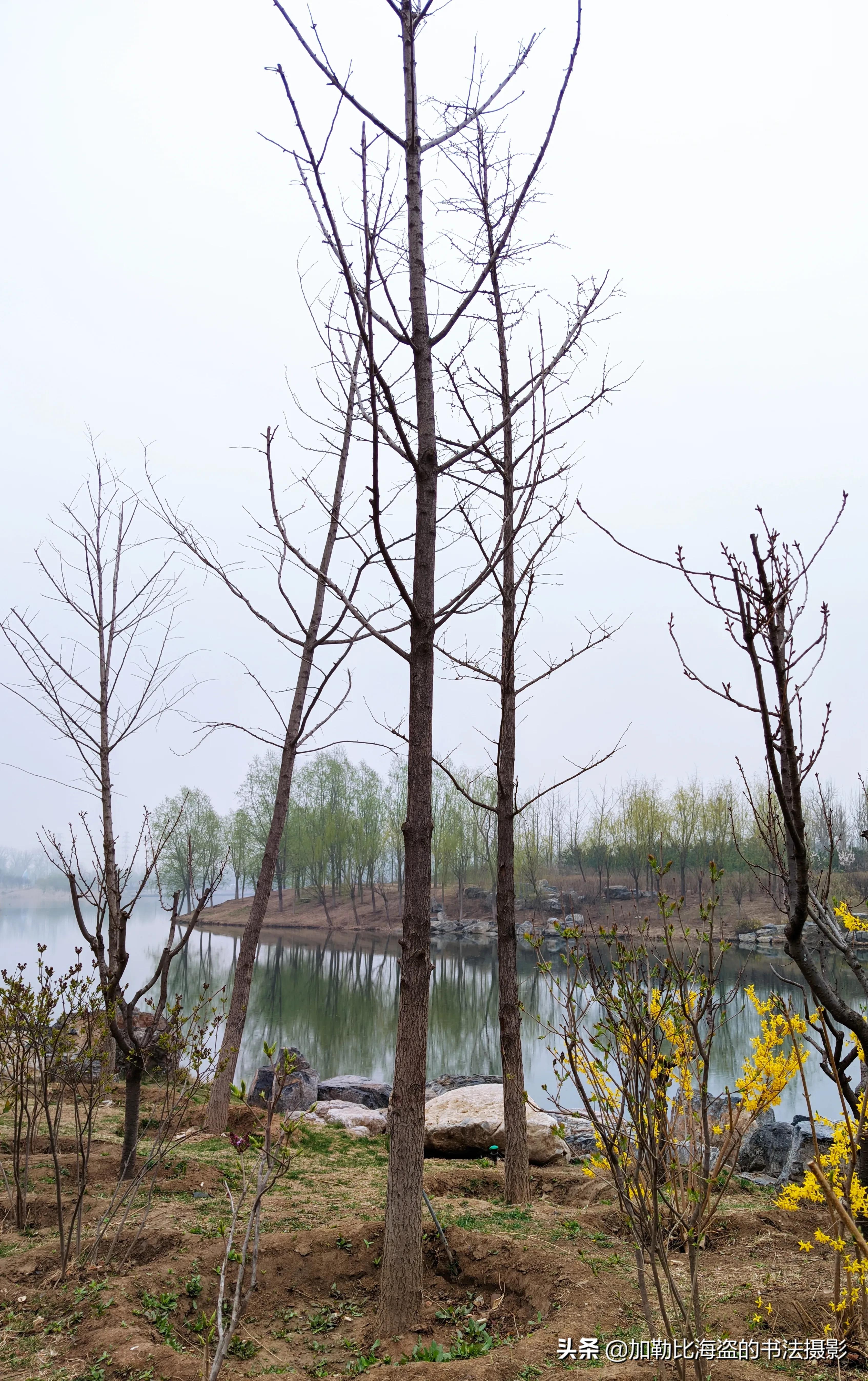 如何在公园里拍出氛围感照片,公园摄影怎么拍出高级感