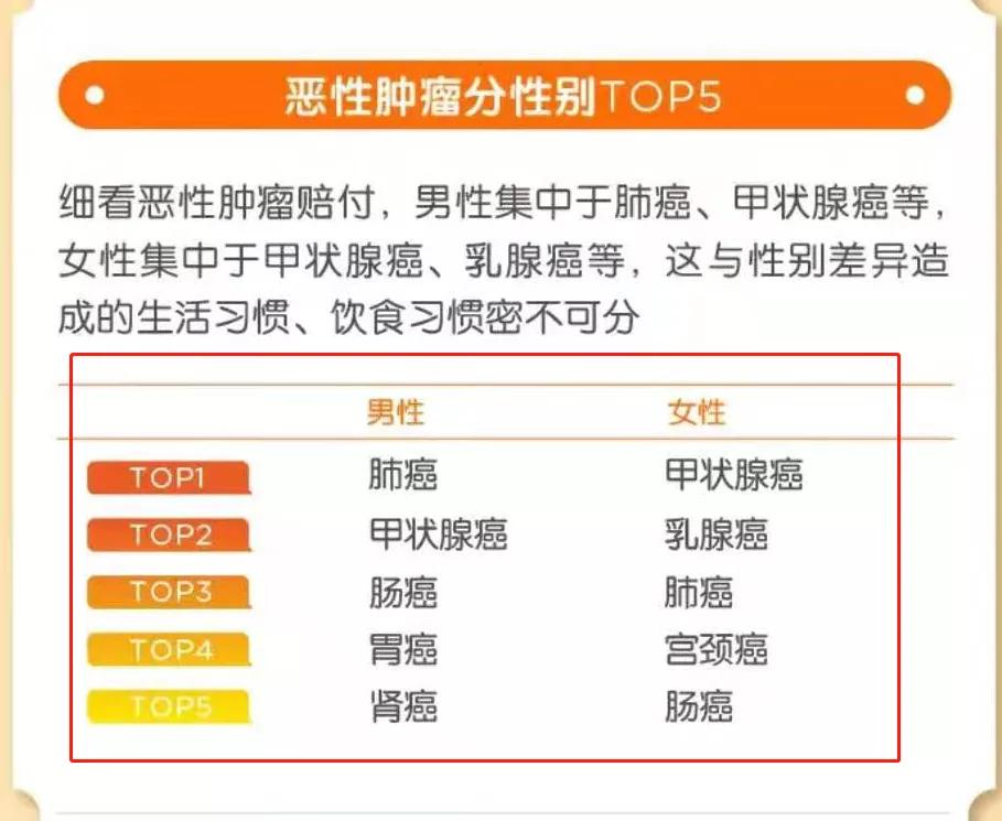 最新全国版惠民保,全国惠民保哪款划算