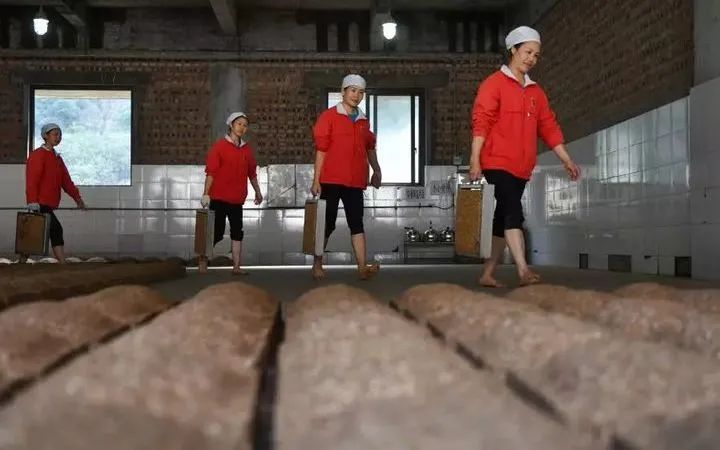 郎酒哪种酒值得收藏,贵州十大酱香名酒郎酒