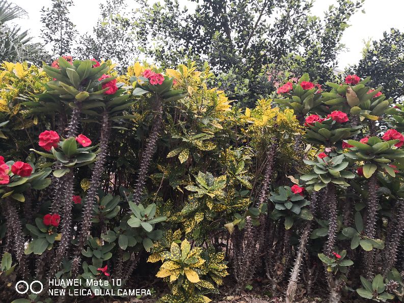 北京到厦门五日游费用,天津到厦门纯玩5天4晚多少钱