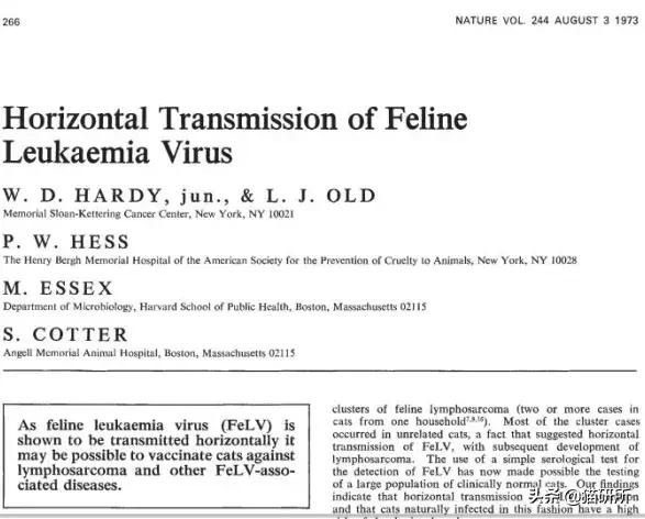 猫白血病病毒（FeLV）感染≠猫白血病≠安乐死