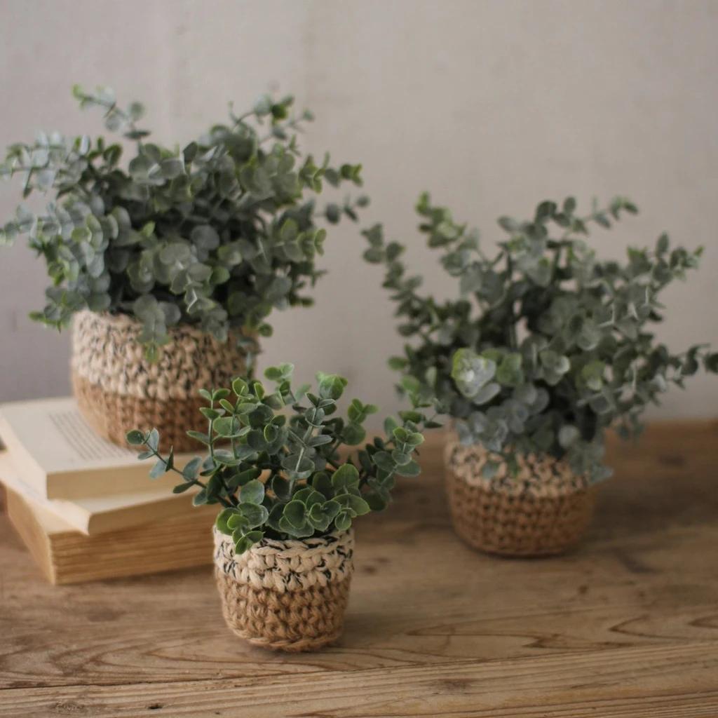 尤加利庭院,冷郁气质怎么形容