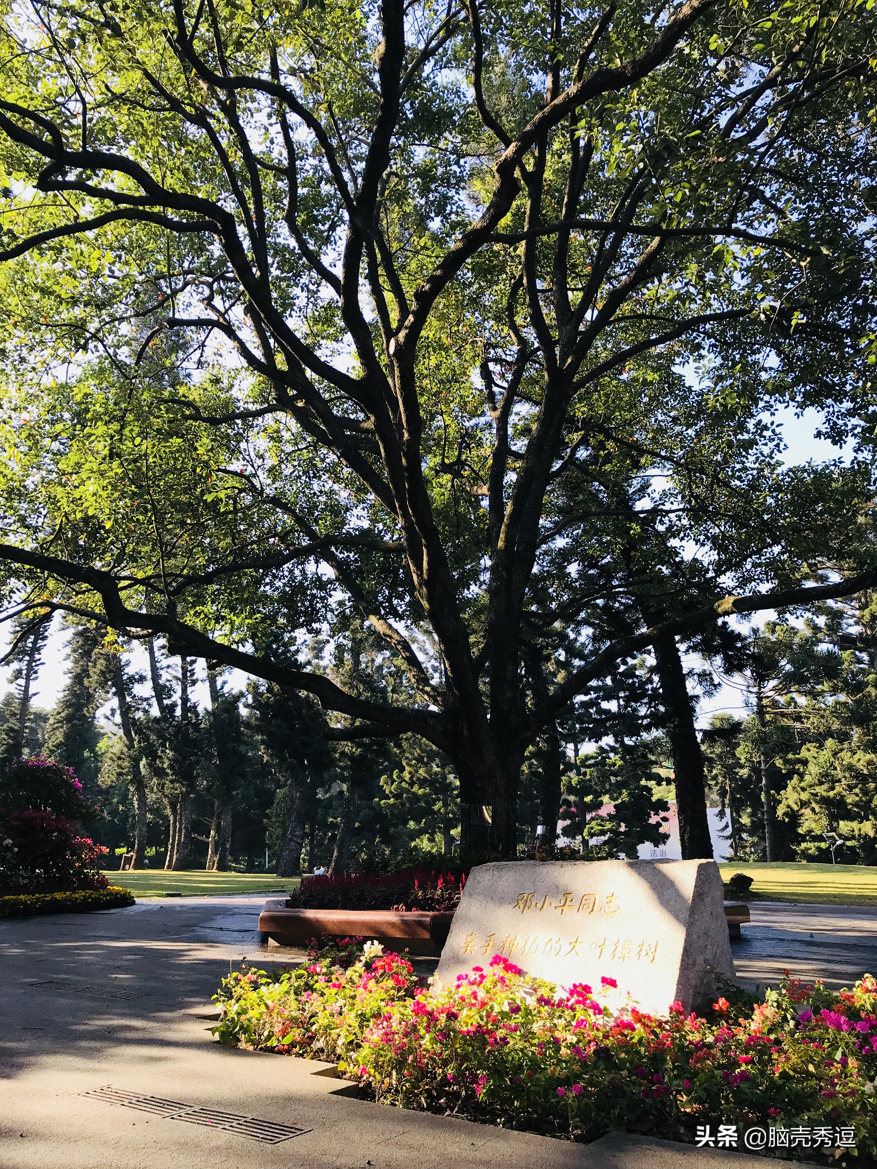 厦门四天自由行攻略最详细,厦门自由行攻略5天详细