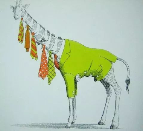 绘本推荐|《动物绝对不应该穿衣服》超级搞笑又有创意的绘本