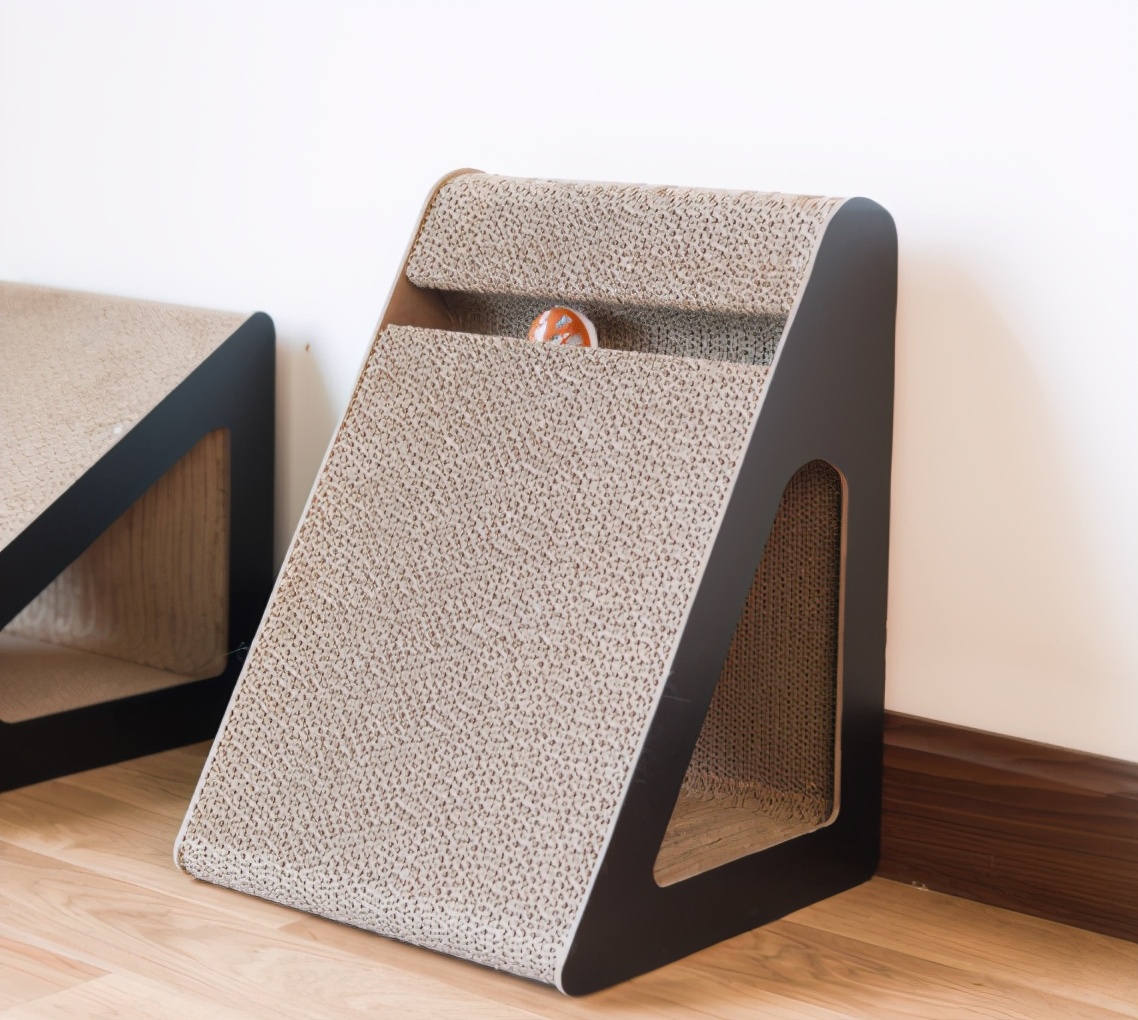 养小猫攻略,养2个月小猫攻略