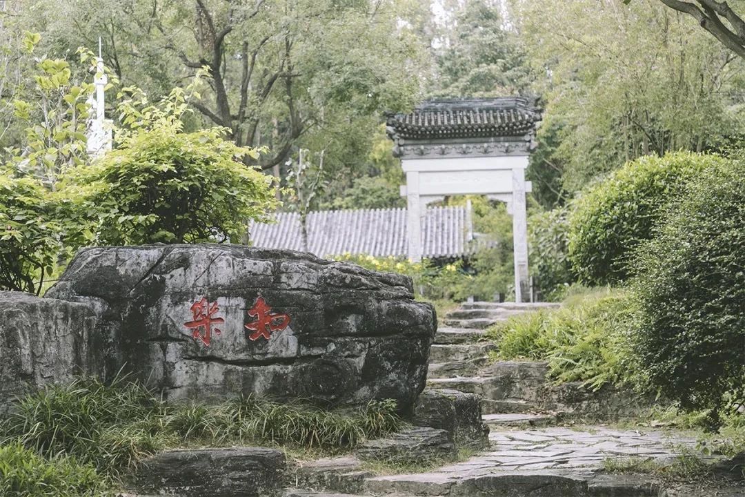 深圳龙华适合小孩子玩的免费景点,深圳适合一日游好玩的地方推荐