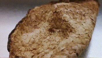 陈皮怎样放不会被虫蛀,陈皮如何防止烧皮