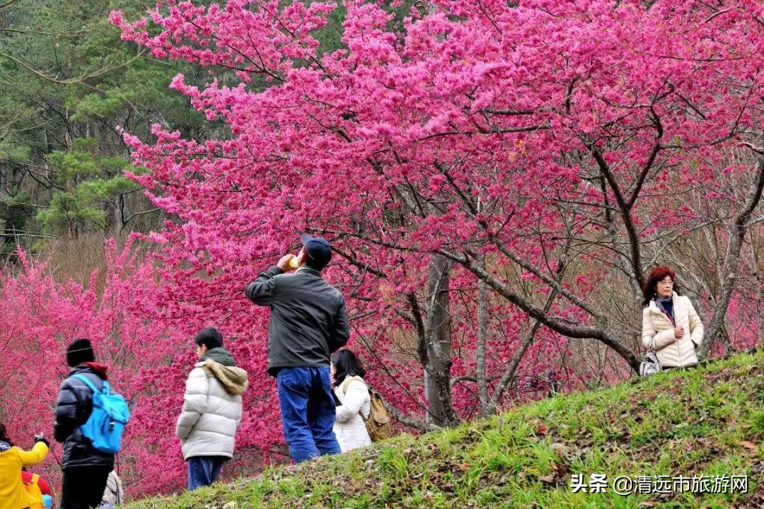 寒假亲子游推荐4-5天游,暑假亲子游玩地点推荐3天2夜