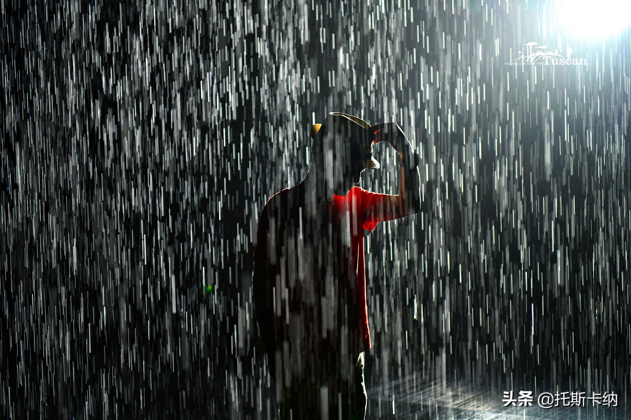 阿联酋沙迦有什么好玩,阿联酋沙迦景点介绍