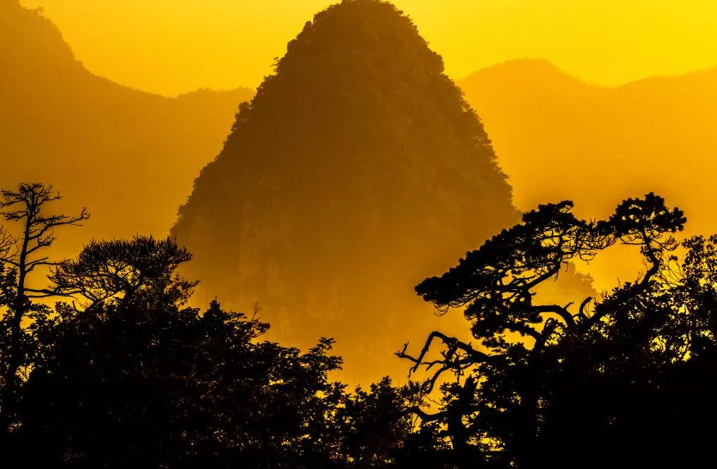 来一场原始森林的探险之旅——大连天门山旅游攻略