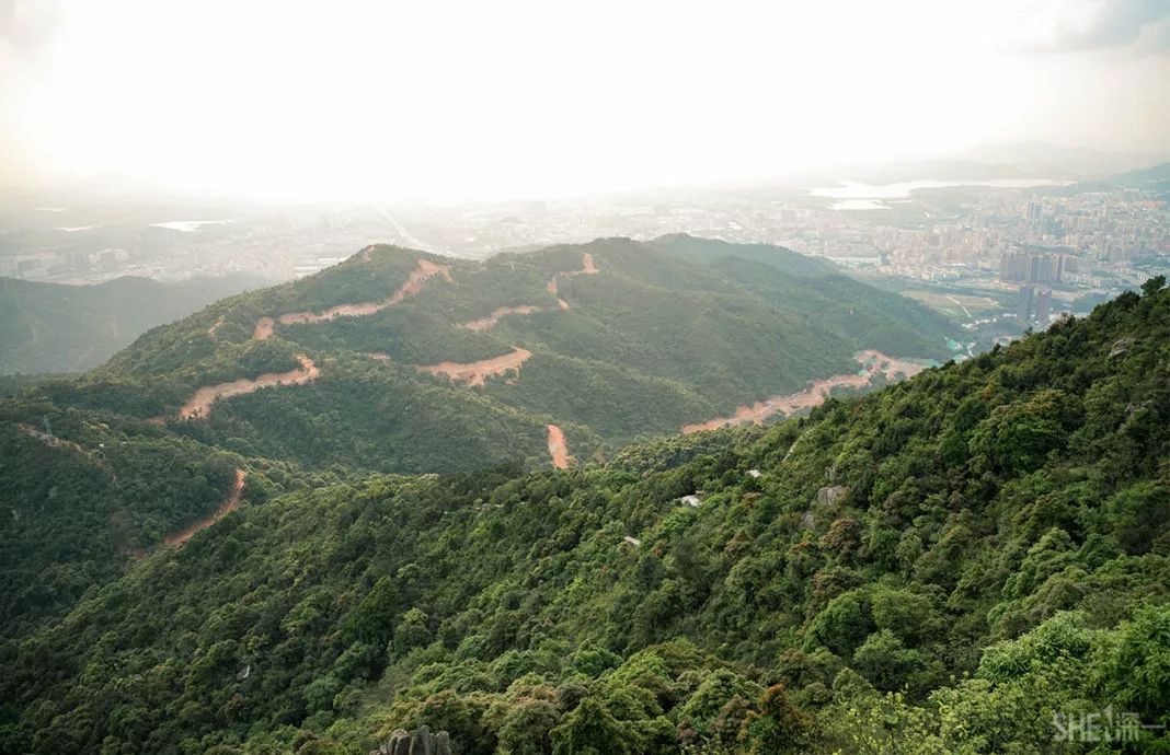 住在深圳宝安,住在宝安西乡