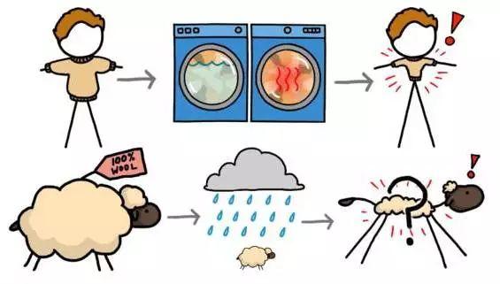 被洗缩水的羊毛衫还有救么,100%绵羊毛羊毛衫怎么清洗防缩水