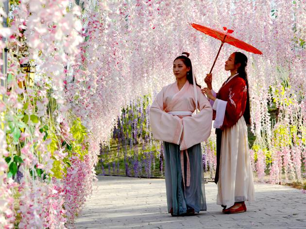 迷人！到北海这座“汉城”体验原始的历史烟云与市井风情