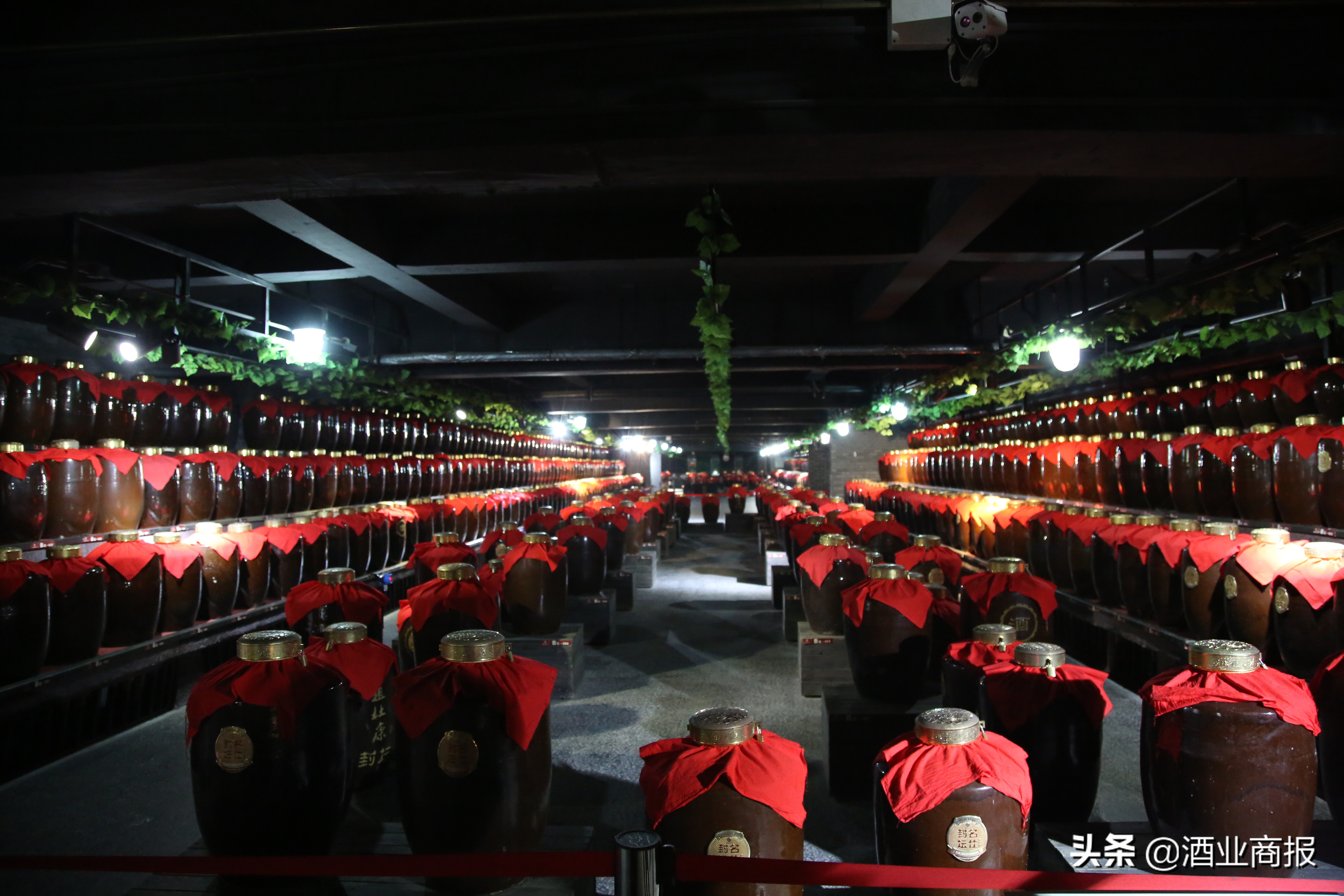 豫酒地理系列报道之洛阳篇：酒祖涅槃重生，杜康欲再醉几千年