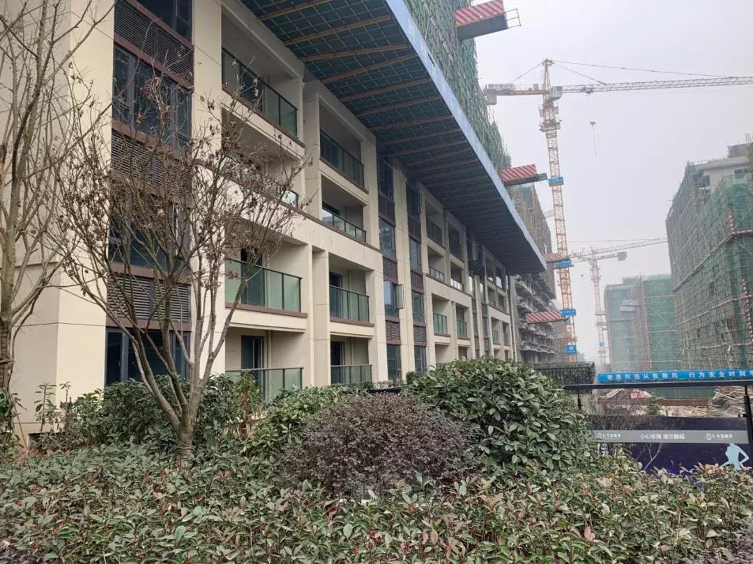 中洲半岛城邦洋房120平96万,小住探房