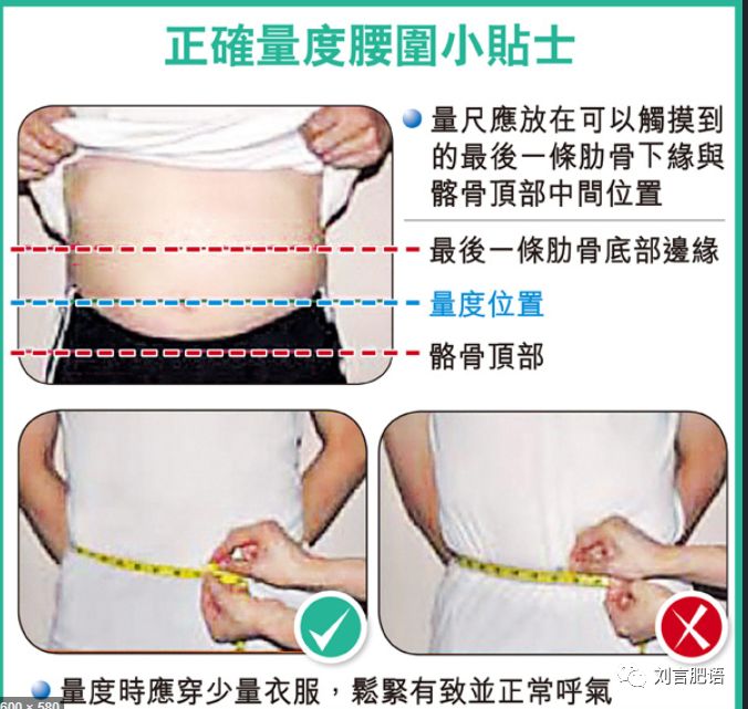 腰围决定寿命的视频,腰围粗影响寿命