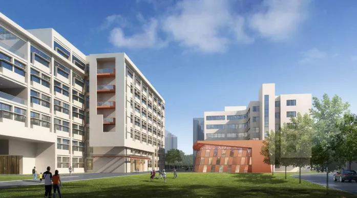 上海理工大学体育馆项目,上海高校运动场施工方案