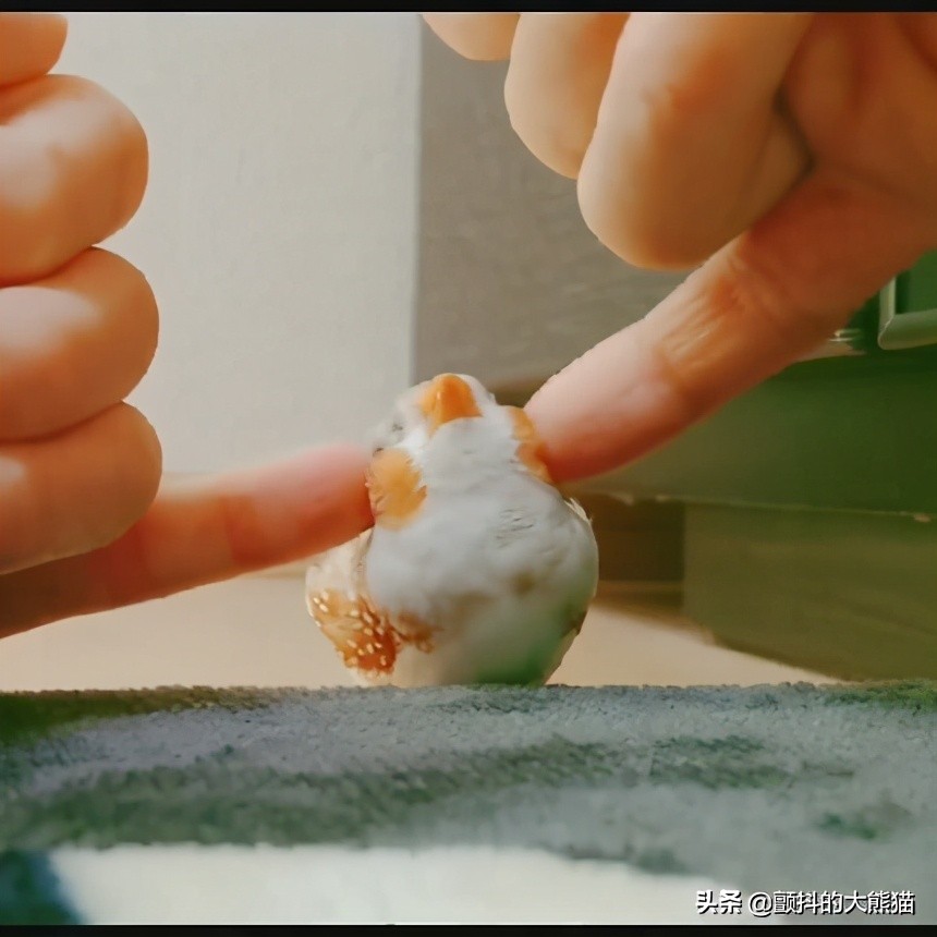 瓒呮不鎰堢殑灏忛笩,瓒呮不鎰堢殑灏忛笩瑙嗛