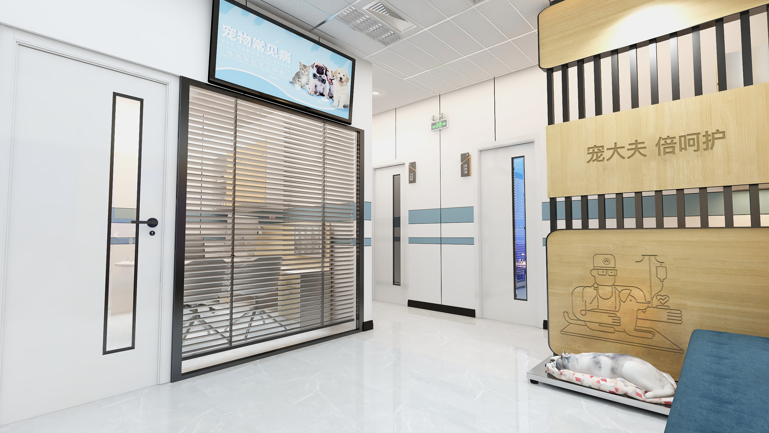 大型宠物医院代理加盟,宠物医院加盟投资多少钱