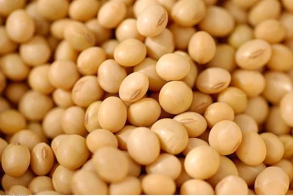 女性调节内分泌最好的方法,调节女人内分泌最好的方法